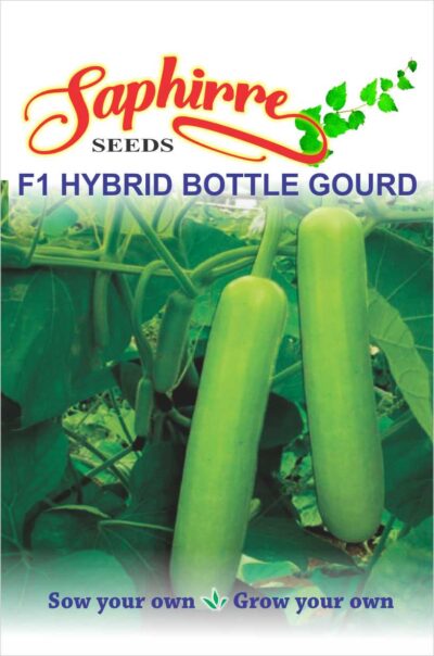 F1 Hybrid Bottle gourd, Louki – vegetable seeds