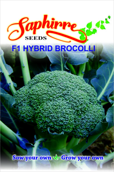 Broccoli F1 Anastya - Vegetable Seeds